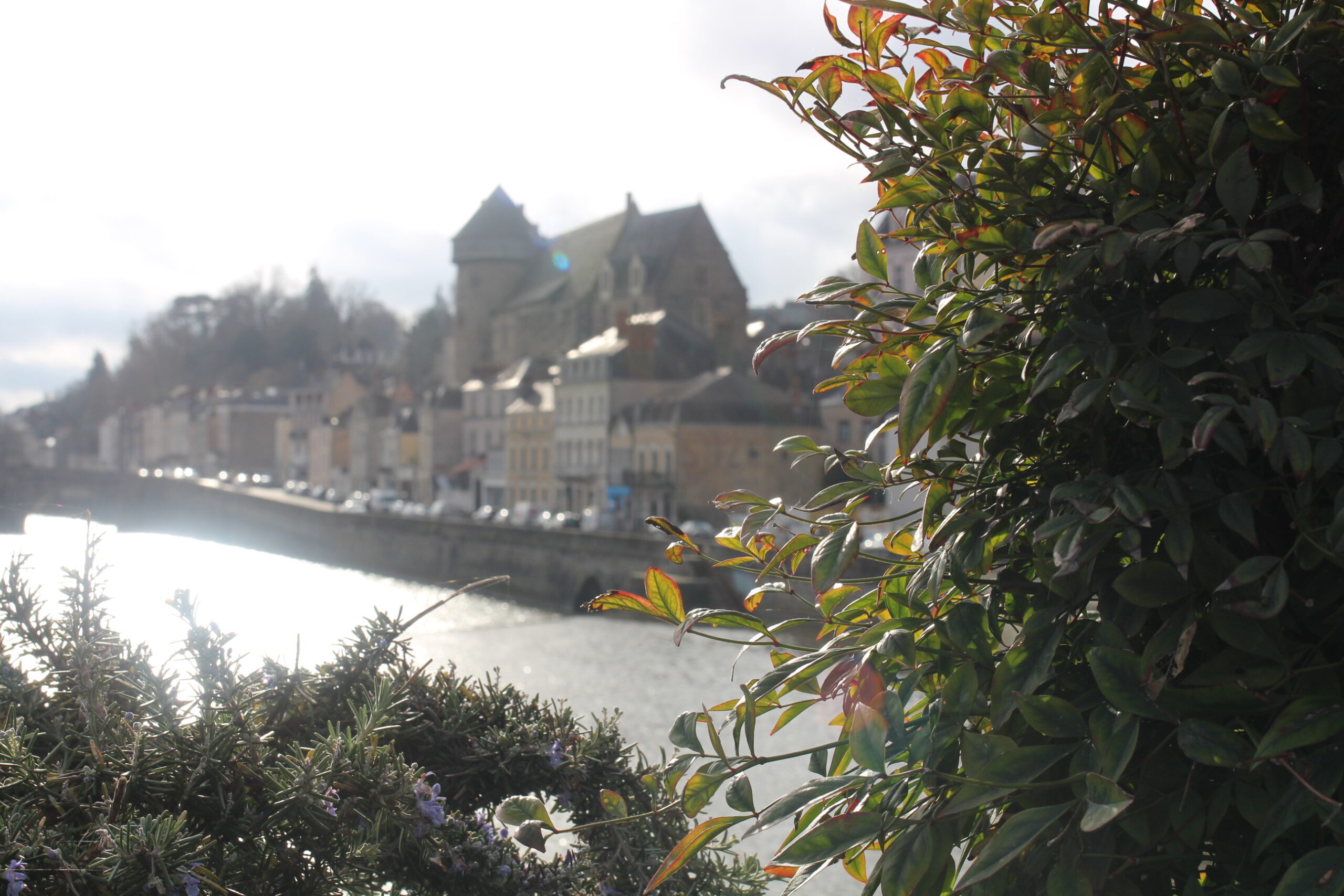 Vue de la vielle ville de Laval depuis le Pont Aristide Briand avec vue sur la Mayenne