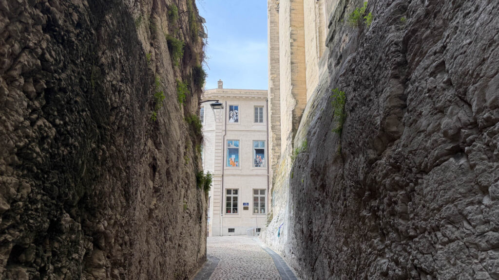 Ruelle Avignon