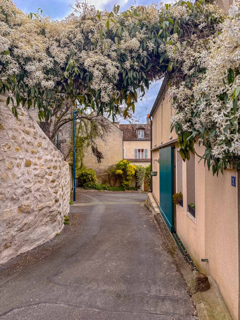 un vielle rue avec sur la gauche un mur en pierre, sur la droite une maison et au centre une arche formée de fleurs.