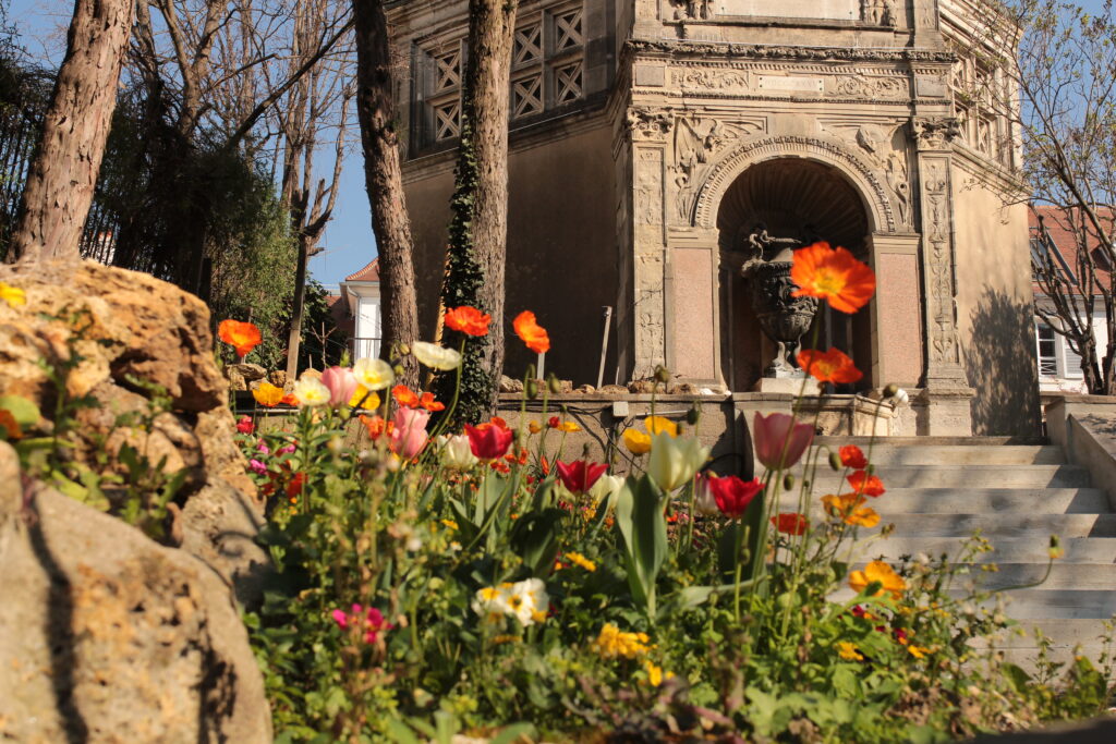 Fleurs dans un parc à Montmartre