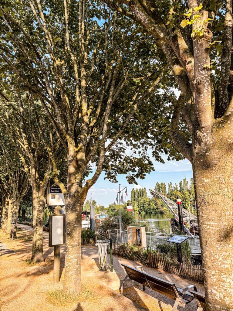 Platanes proche d'une rivière avec bateaux et drapeaux français au vent