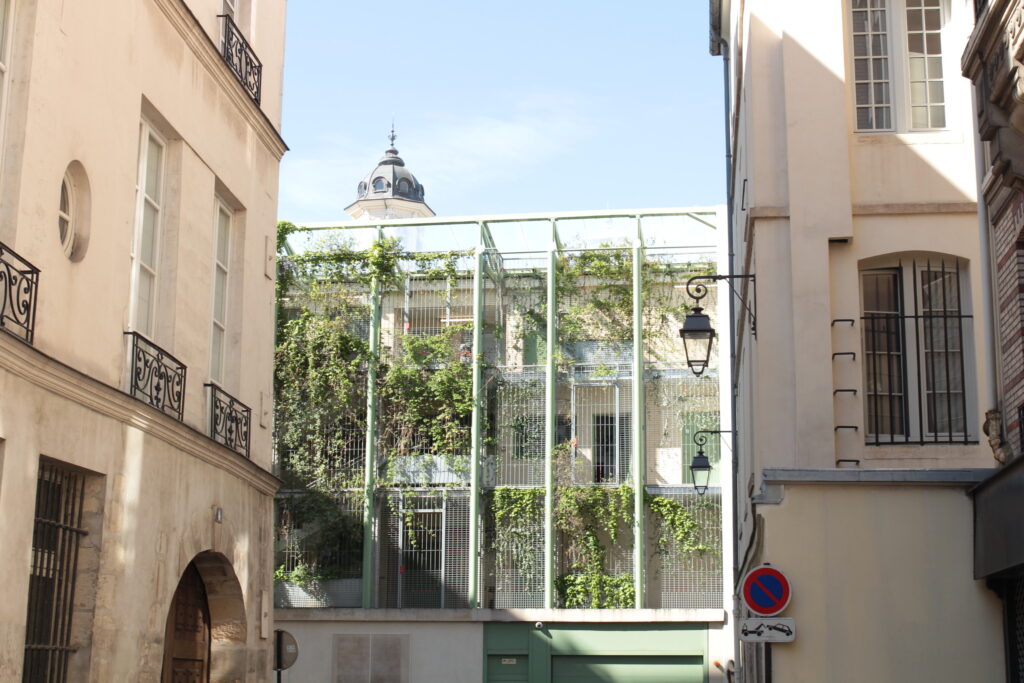 Paris street with the sun beating down on the buildings