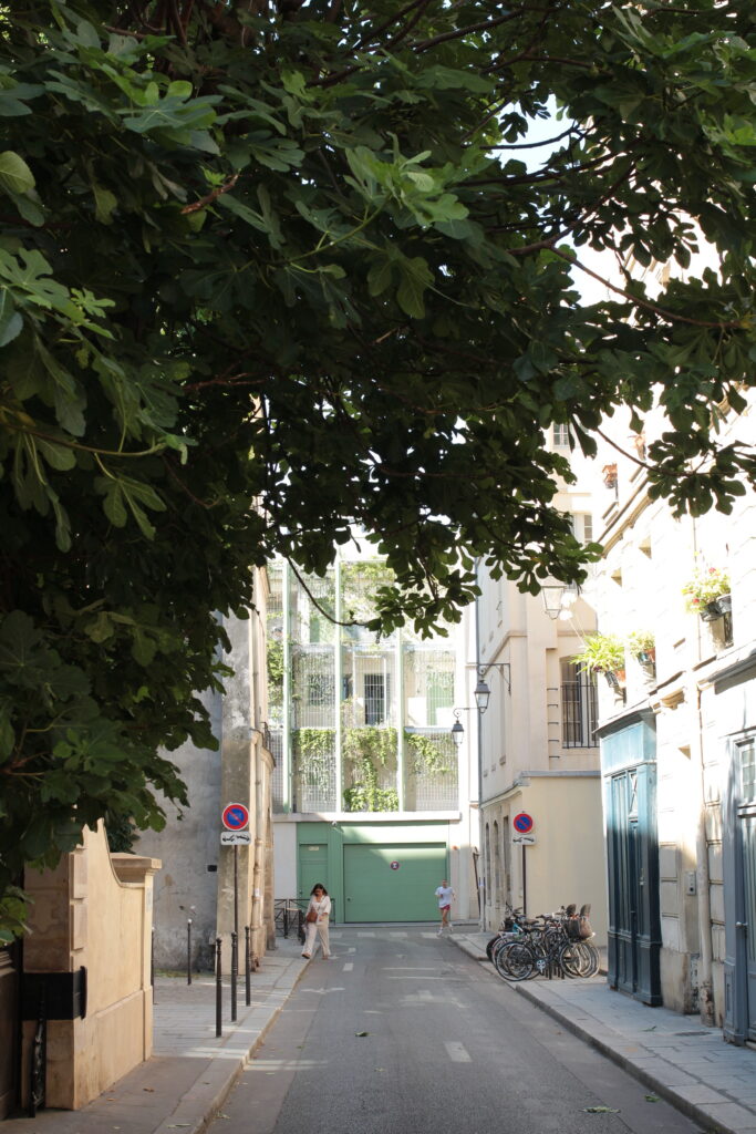 Rue de Paris