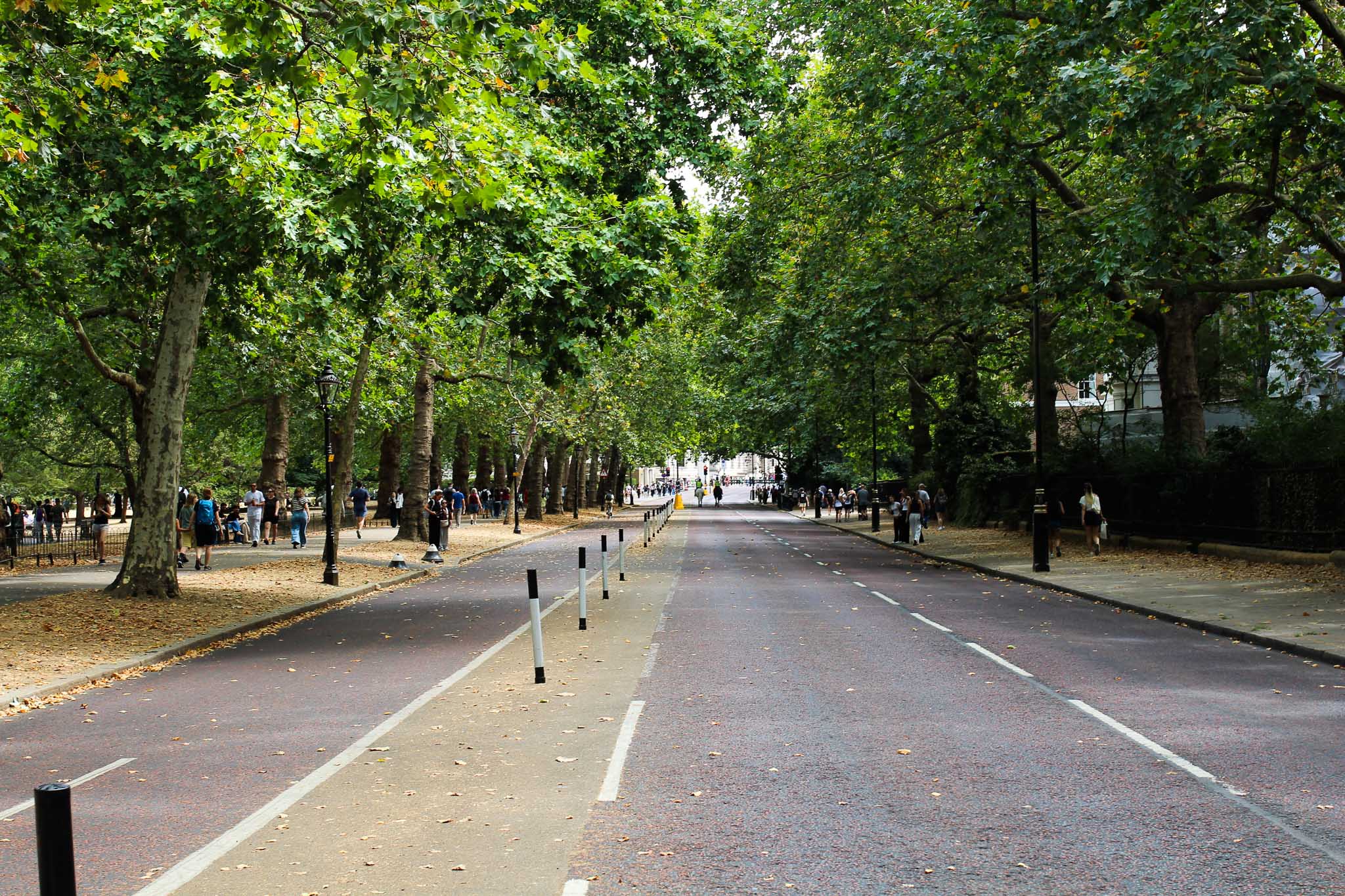 Birdcage Walk Avenue in London without pedestrians or bikes.