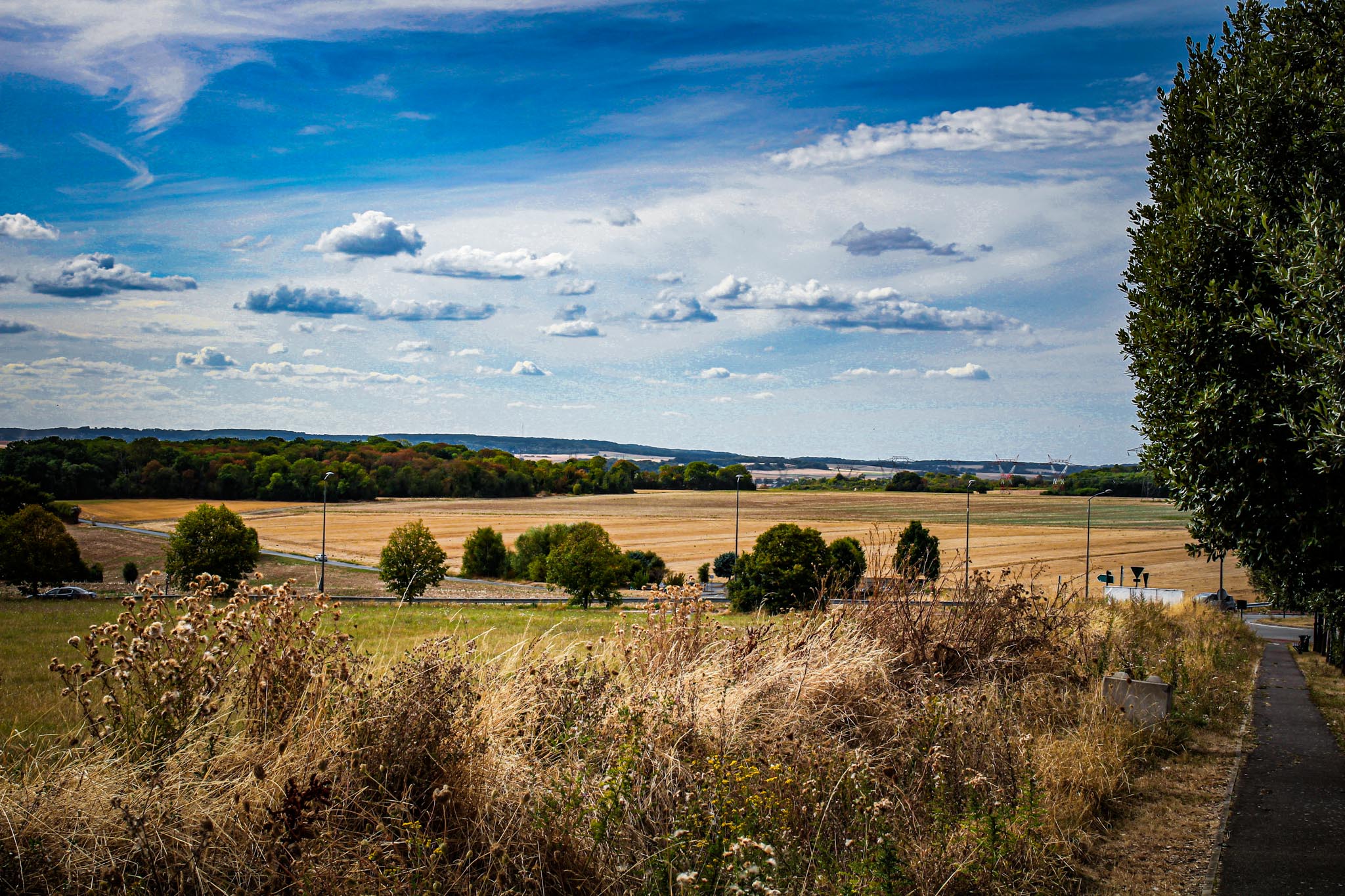Un paysage d'été dans la campagne française avec des champs de blés, quelques arbres et le ciel.